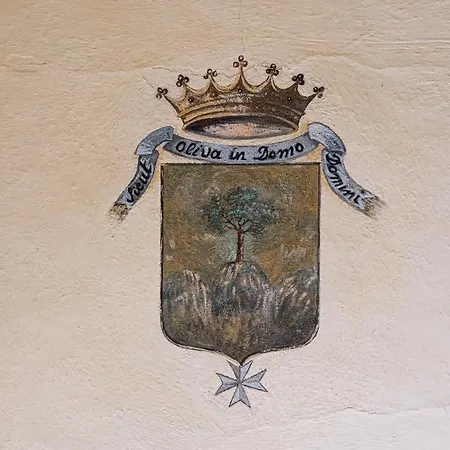 Palazzo Tranfo Al Duomo * Тропея