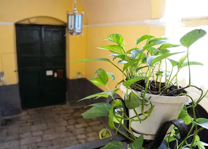 Apartman Palazzo Tranfo Al Duomo